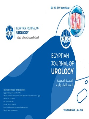 Egyptian Journal of Urology