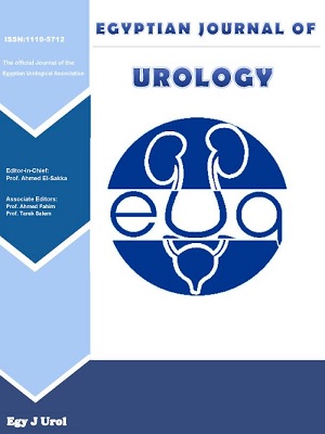 Egyptian Journal of Urology